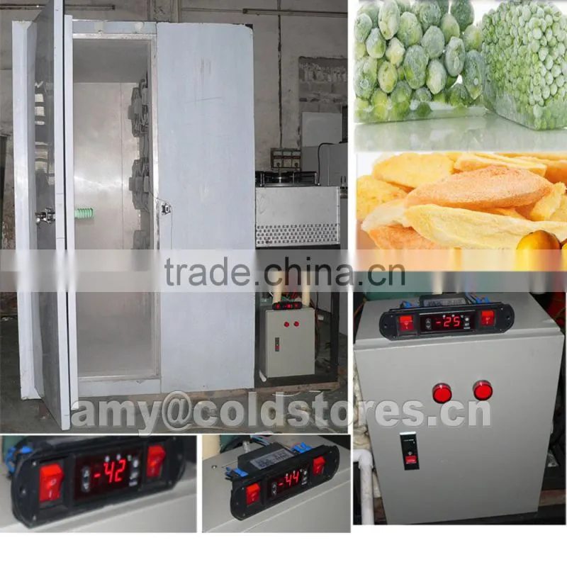 Quick freezer for 300kg mango chunks freezing