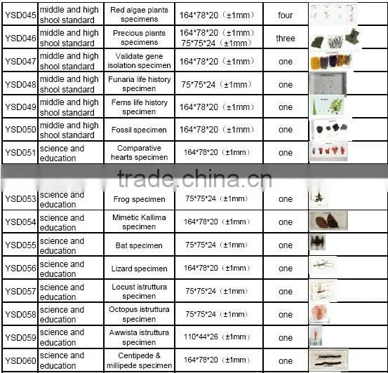 students learning embedding/3D primary school standard Seed dispersal mode specimen for biology teaching