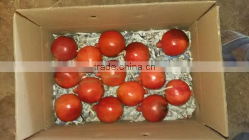 Fresh Pomegranate Fruit Supplier in India / Malaysia / Singapore / Dubai / Maldives / Sri Lanka