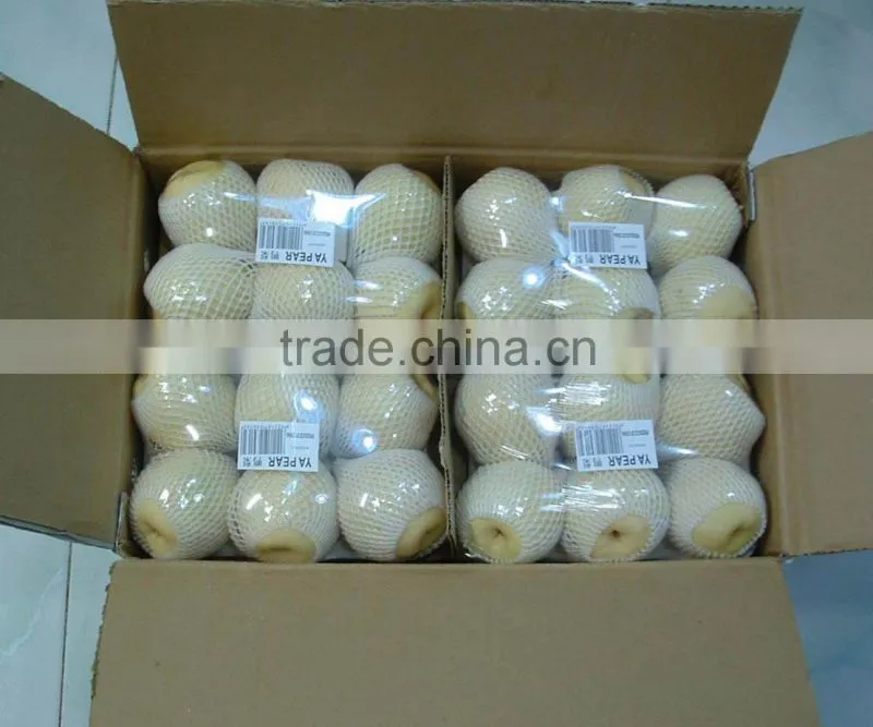 chinese ya pear