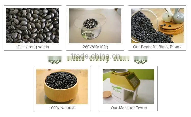 Types of Black Beans 2015 Black Kidney Beans/ Black Matpe Beans