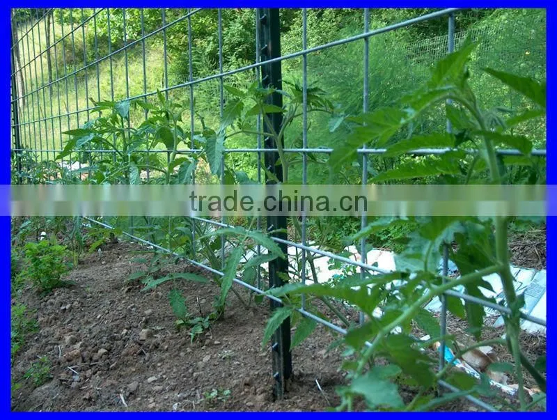 DM(ISO9001 factory)Cheap "T" fence post for farm