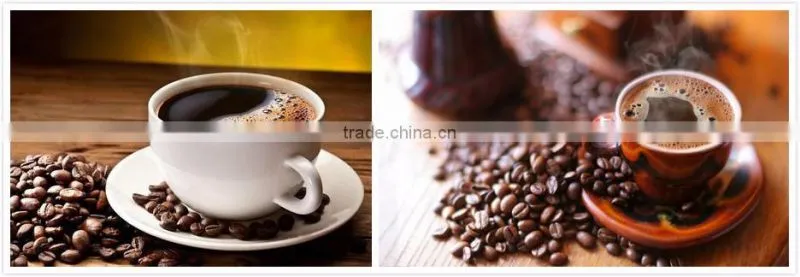 Electric Coffee Bean Roasting Machine