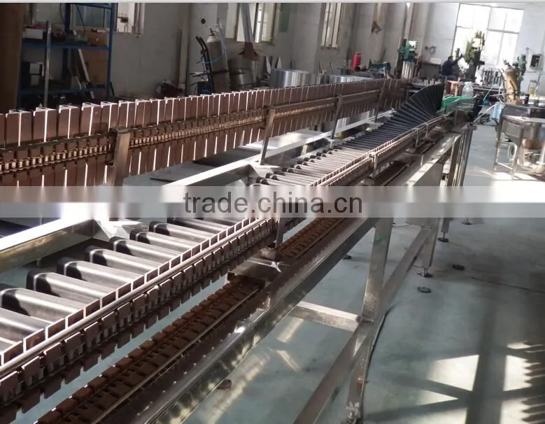 Professional Automatic Fresh Fruit Juice Production Line (Turkey Project)