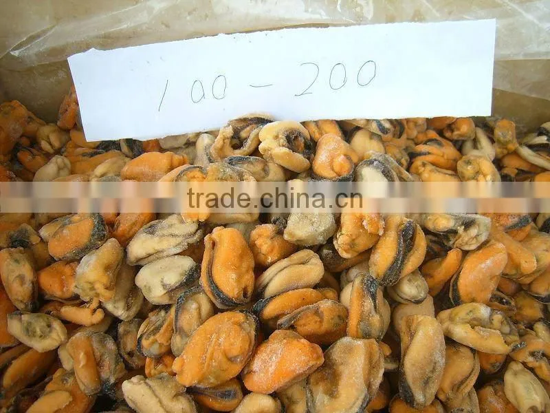 Frozen Boiled Vacuum Packaging Mussel Meat