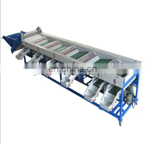 New offer prune sorting machine