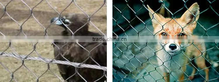 Hebei factory BV Certificate!!!Decorative stainless steel wire cable netting mesh fabric