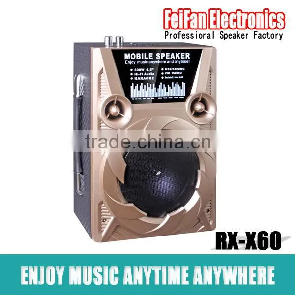 Hot Sale 6.5 Inch Bluetooth Mini Speaker/Portable Mini Speaker