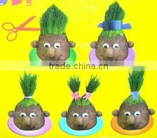 Growing grass doll,grass head,grass doll