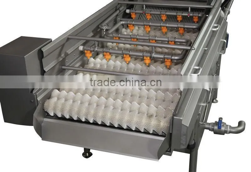 date washing line/dates washer