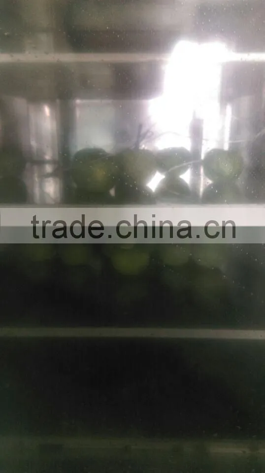 laboratory heating freeze dryer