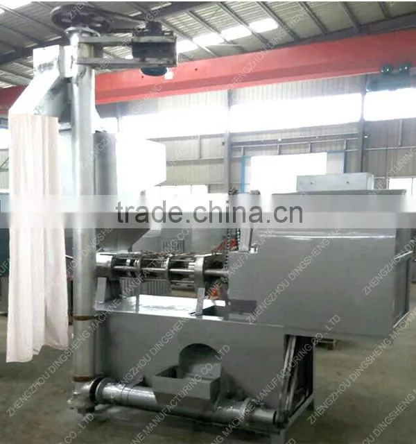 Hot sale in Africa baobab seeds oil press machine from Dingsheng