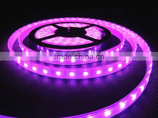 CE/RoHs Waterproof RGB IP67 LED Light Strip 12W/M SMD 5050 Flexible Battery Powered LED Strip Light Wholesale
