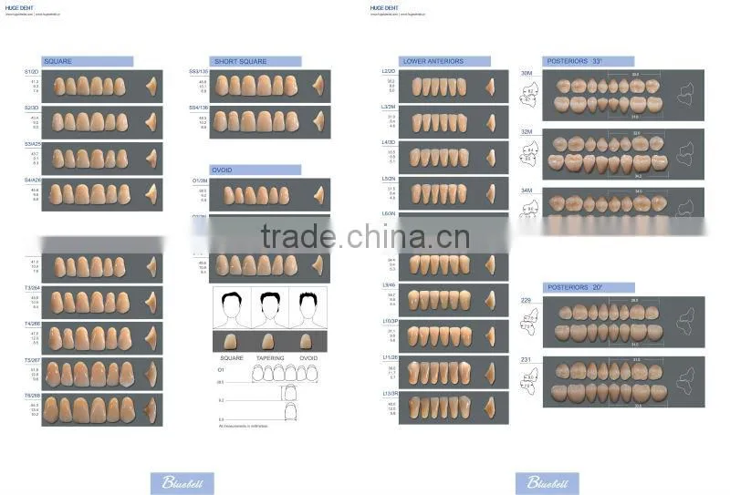 2015 Hot sale Synthetic Polymer Teeth