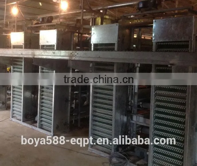 economic broiler chicken cage