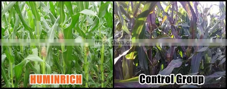FAQ 33--Huminrich Potassium Humate Fertilizer Application On Plants