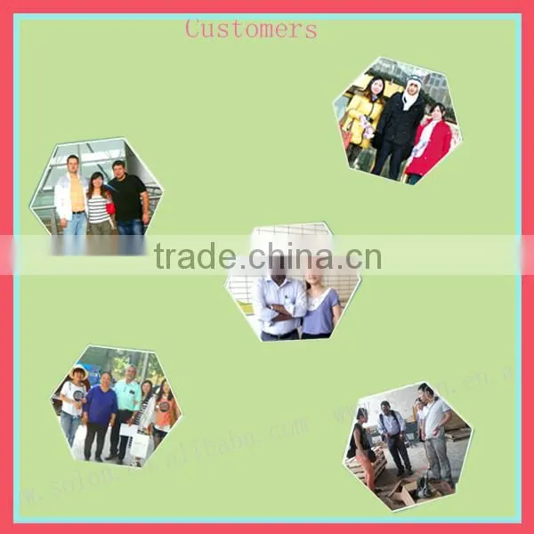 Competitive fine product small fish meal machine CE approved machine for sale in China