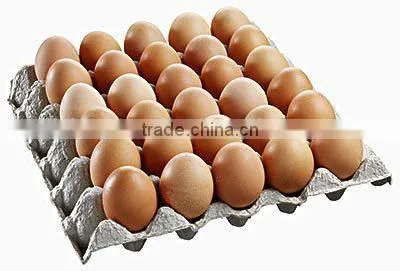 with CE and ISO 9001 egg tray making machine /Paper Egg Tray Machine / Egg Tray Forming Machine