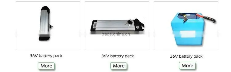 rechargeable electric bike battery 36V20Ah lithium battery pack for scooter