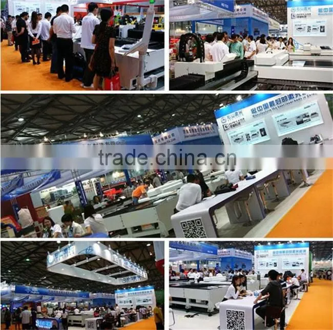 2015 New Design IPG 500W Fiber Laser Cutting Machine fo Metal Guard
