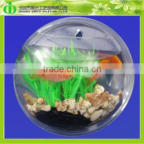 DDT-0069 Trade Assurance Aquarium Fish Price