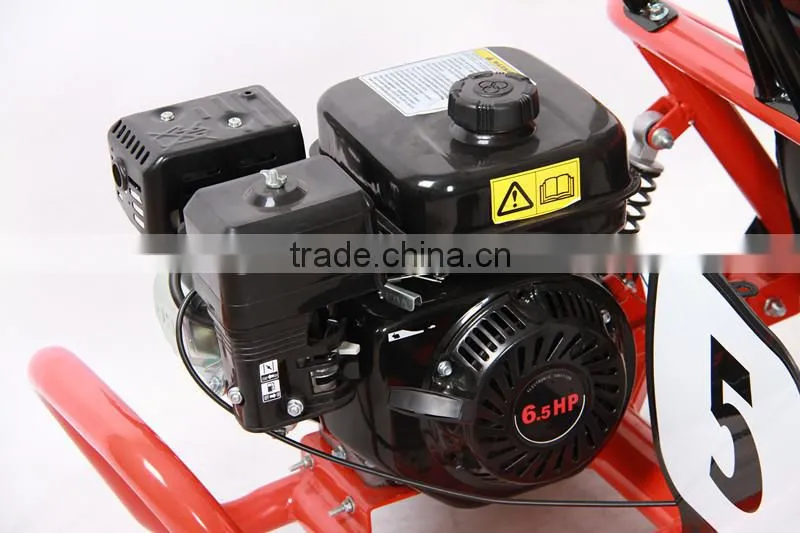 196CC Go Kart ,Pull Start or Electric Start , With Roll Cage ,EPA Certificate