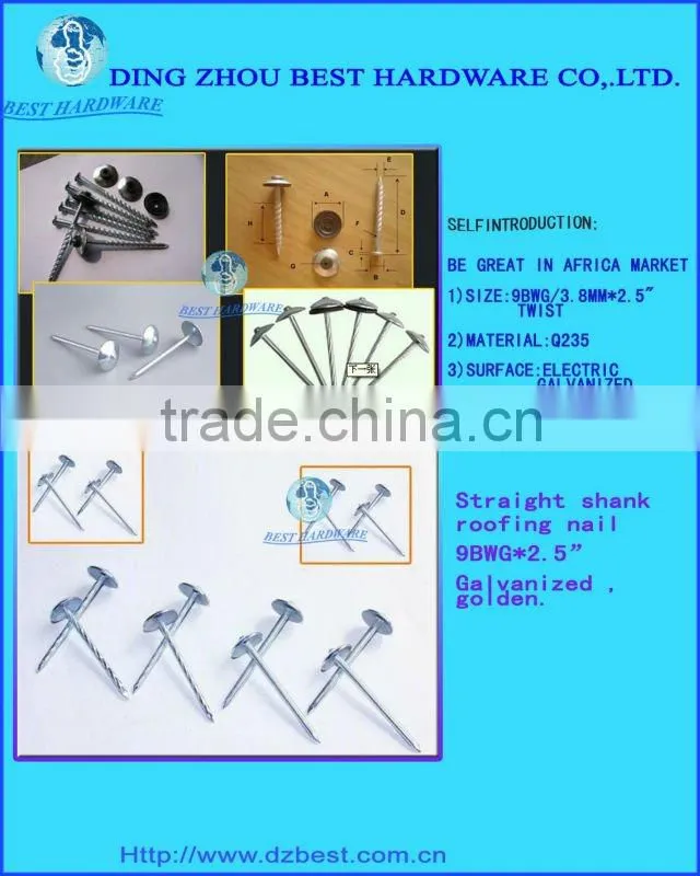 Ring shank galvanized roofing nail with umbrella head