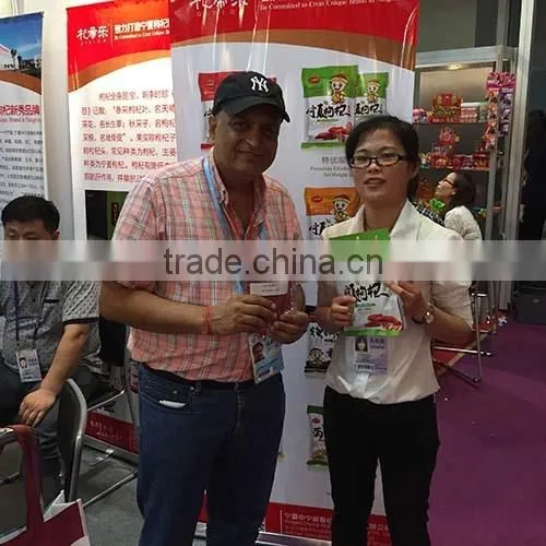 NingXia prior Goji berry/wolfberry/dried gojiberry
