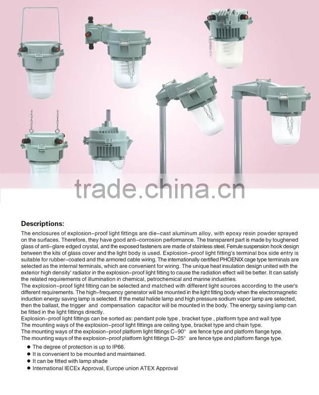 ATEX IECEX Zone 2 explosion proof light Metal Halide lamp 400W 250W 70W 100W 150W