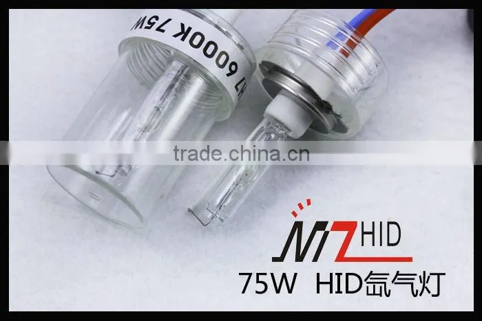12V 75W HID BULB