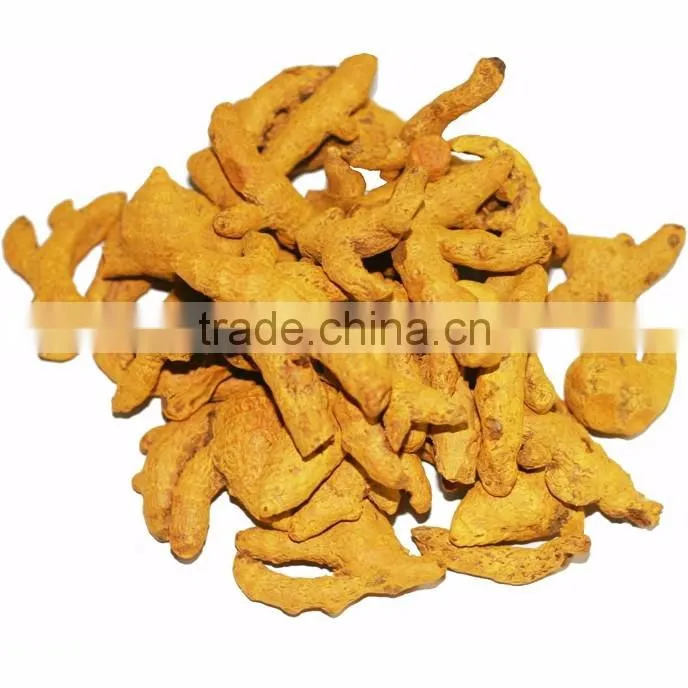 Indian Turmeric Exporters