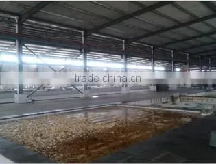 pickled ginger in bags,1kg*10 bags 20Bl/bls,2016new crop tender ginger material