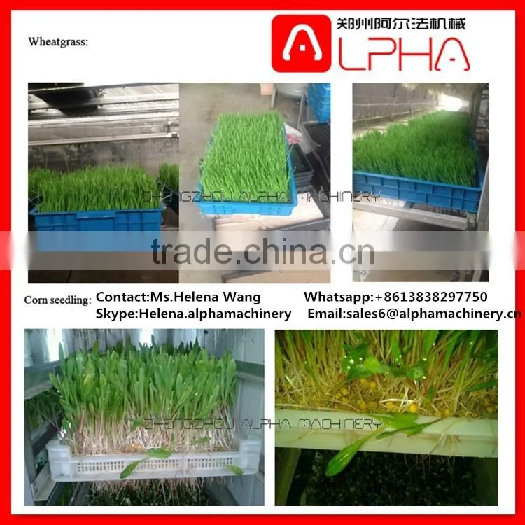 Grass seeds planting machine automatic bean sprout machine barley grass growing machine