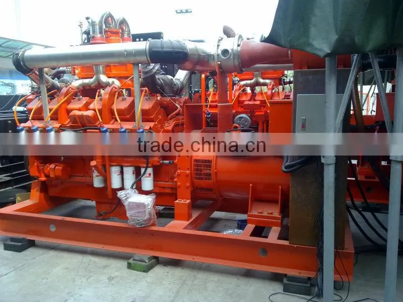 500KW/1MW New Energy Waste Biomass Power Plant/Biogas Generation Project