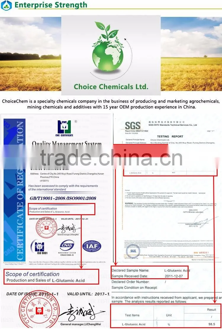 Best price high grade food additive L Glutamic Acid manufacturer