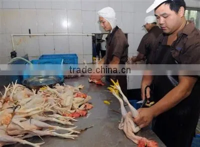 halal meat processing machine for chicken