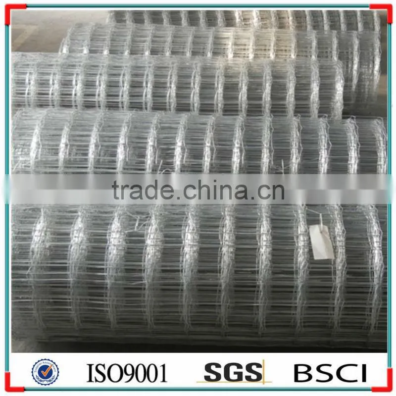 ELECTRO GALVANIZED WELDED MESH 50x50