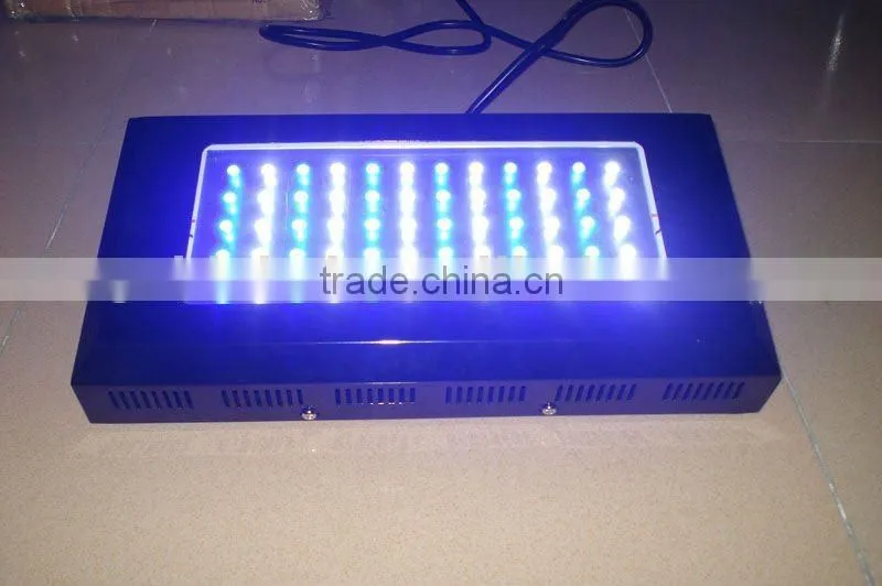 14000K dimmable aquarium lighting fish tank