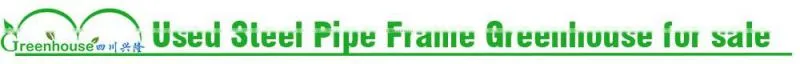 Used Galvanized Steel Pipe Frame Tunnel Greenhouse for Sale