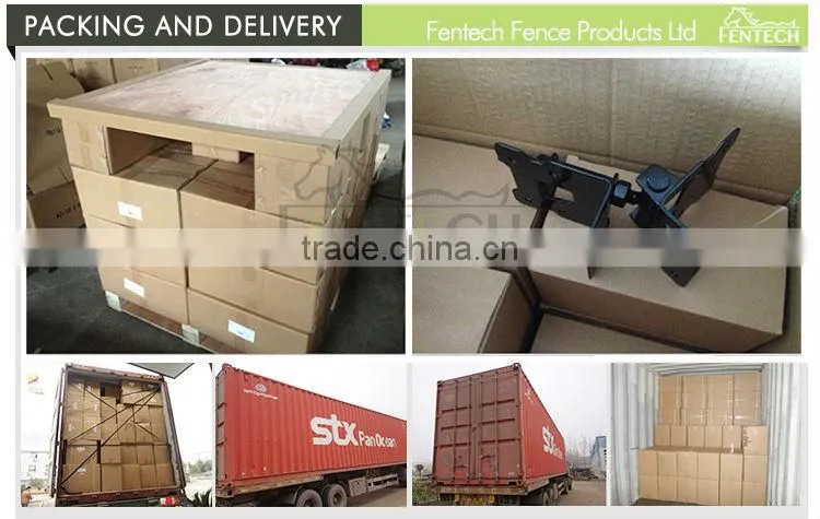 Made in China Fentech High Quality PVC Fence Gate Hinge and Latch for Gate