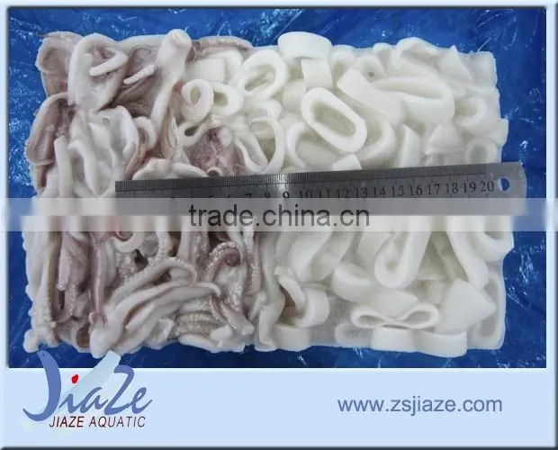 cutting baby squid T+T loligo chinensis/loligo japonica