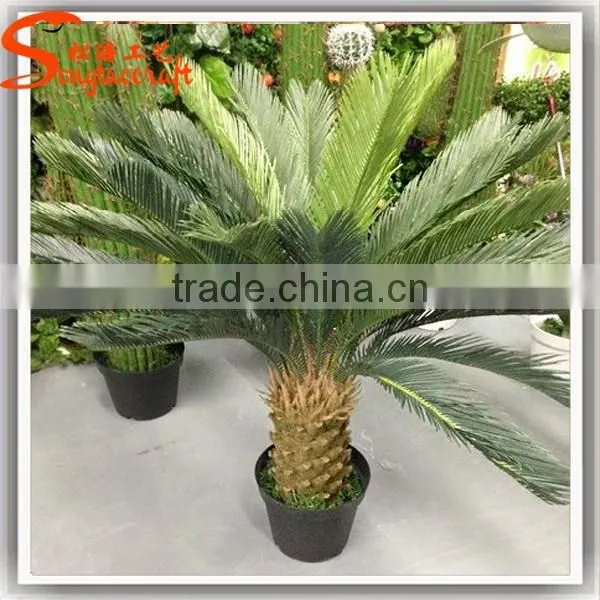 indoor evergreen ornamental plants cycas revoluta artificial fake plastic evergreen trees for home decor