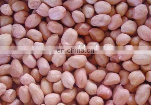 hot sale dry type peanut peeling machine roasted peanut peeler on sale