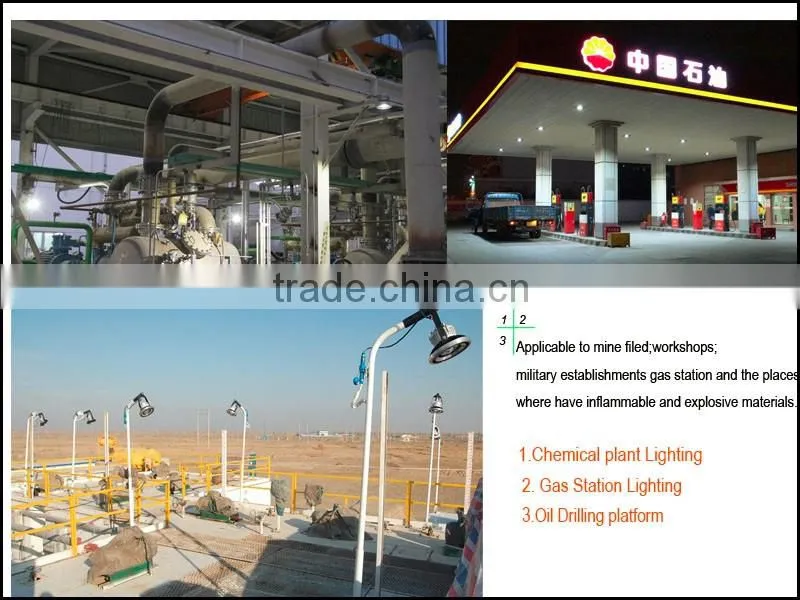MCLED High quality 30W COB AC85-265V led explosion-proof light led flood lamp