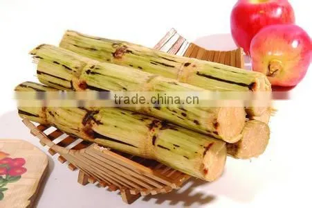 High quality automatic vertical sugar cane juicer machine