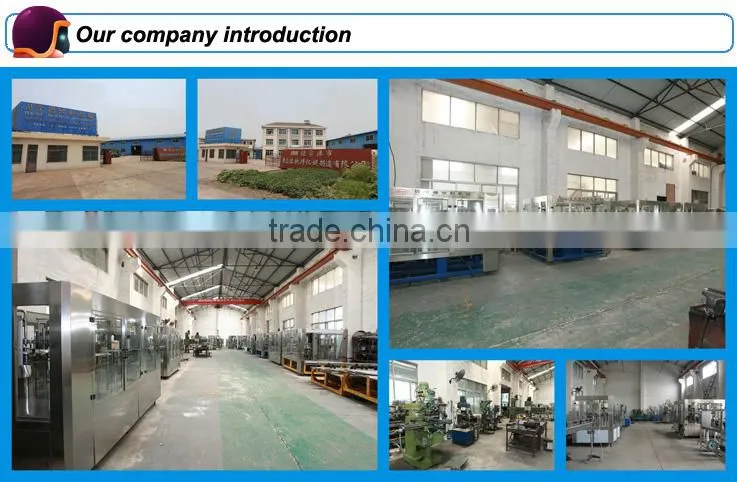 3000 bottles per hour automatic glass bottle beer filling machine/Bottling plant