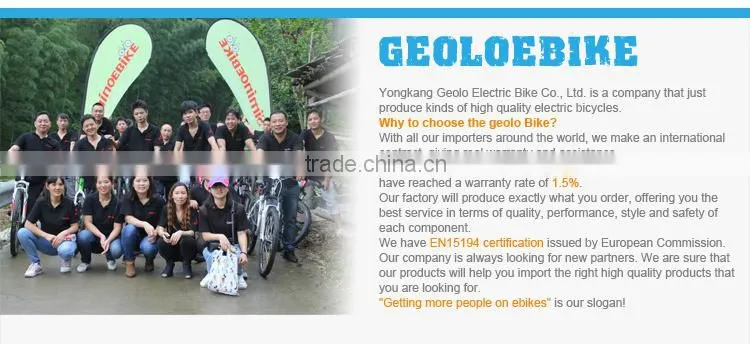 36v 250w city lady electric bike