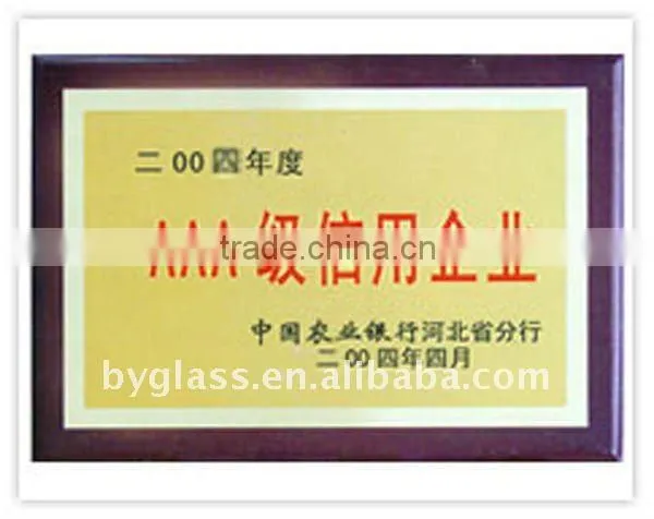 double wall glass cup