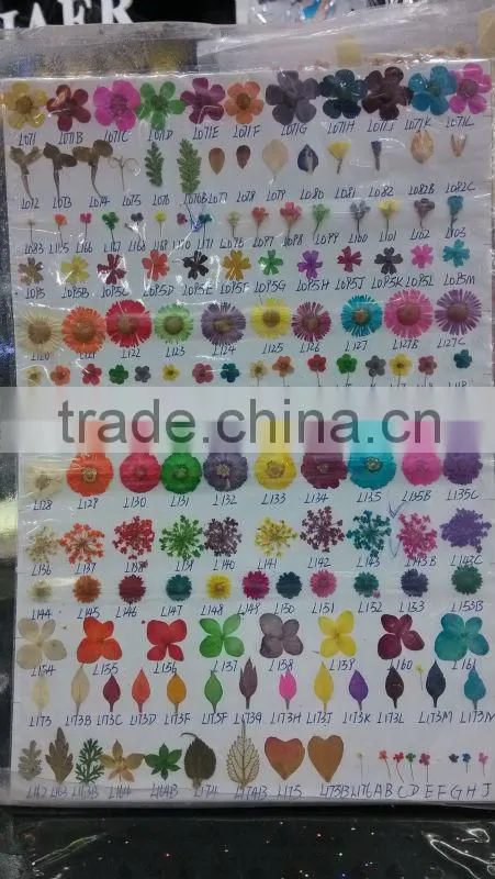mini bead for real flower nail art 2013