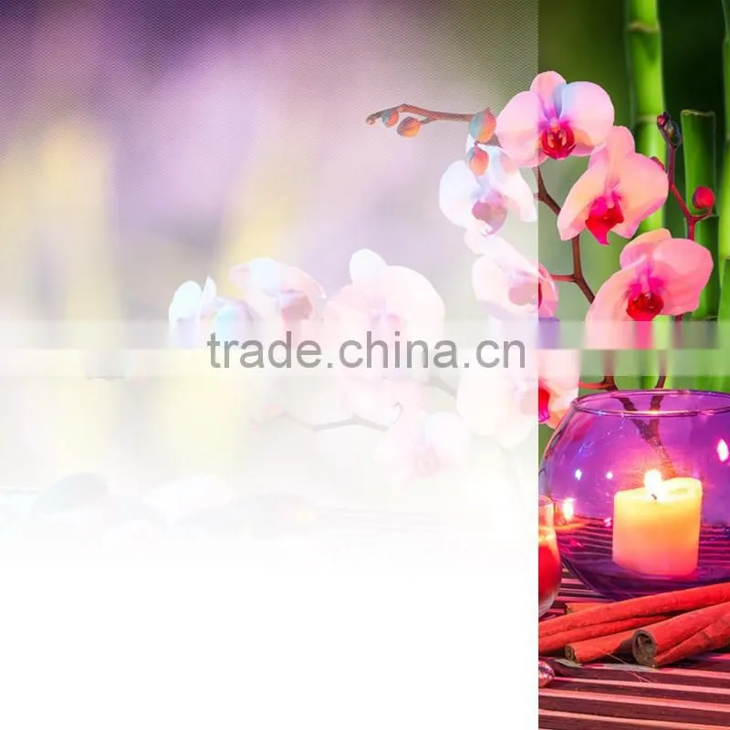 white gradation window glass pet film rolls